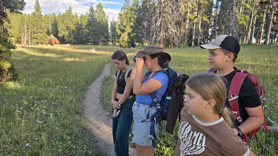 הגראנד קניון של ילוסטון